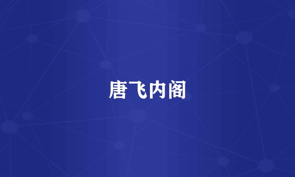 唐飞内阁
