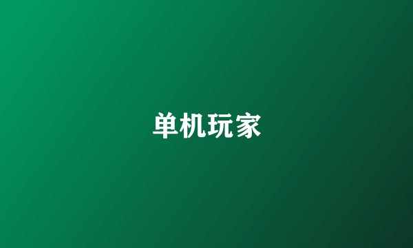 单机玩家