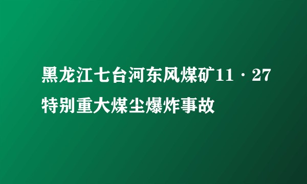 黑龙江七台河东风煤矿11·27特别重大煤尘爆炸事故