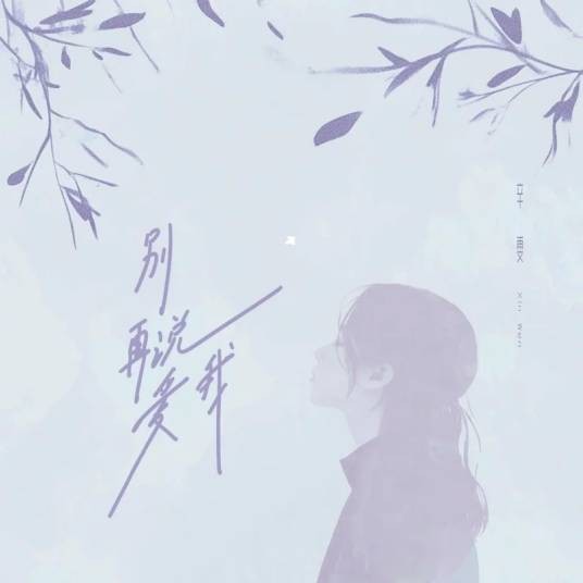别再说爱我（歌手辛雯演唱的歌曲）