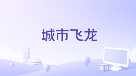 城市飞龙
