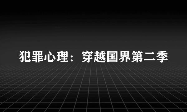 犯罪心理：穿越国界第二季