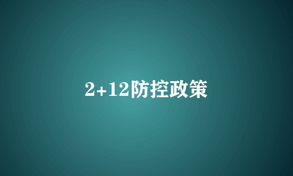 2+12防控政策