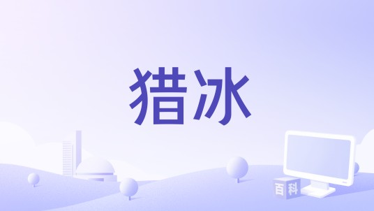 猎冰（王整编剧的电影）