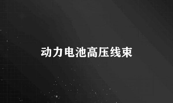 动力电池高压线束