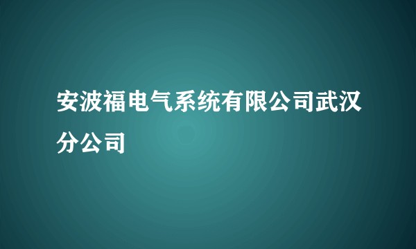 安波福电气系统有限公司武汉分公司