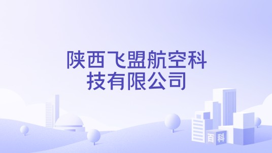 陕西飞盟航空科技有限公司