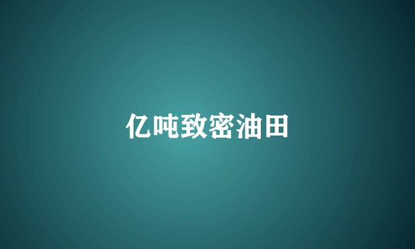 亿吨致密油田