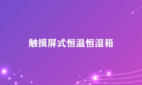 触摸屏式恒温恒湿箱