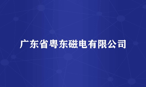 广东省粤东磁电有限公司
