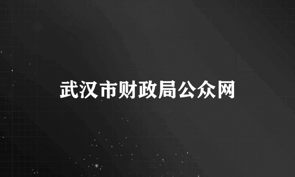 武汉市财政局公众网