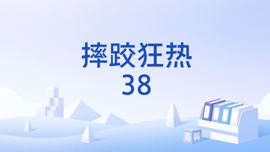 摔跤狂热38