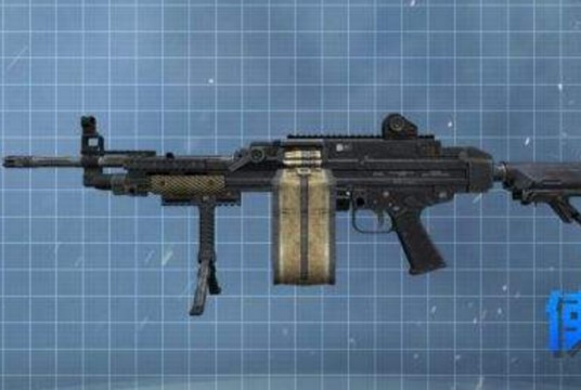 MAG43