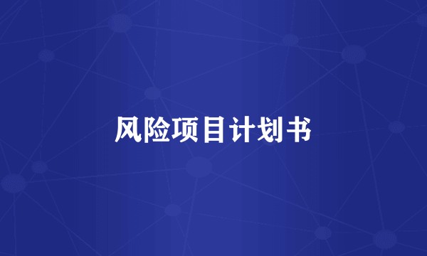 风险项目计划书