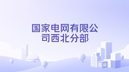 国家电网有限公司西北分部