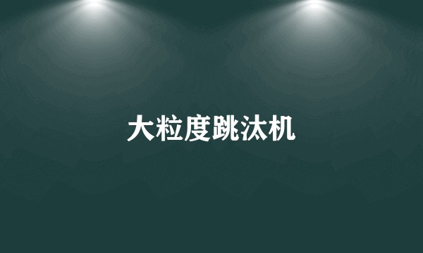 大粒度跳汰机