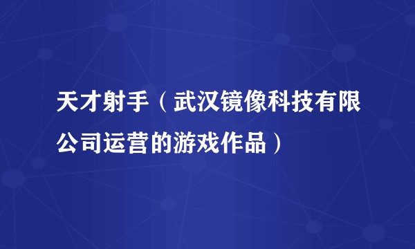天才射手（武汉镜像科技有限公司运营的游戏作品）