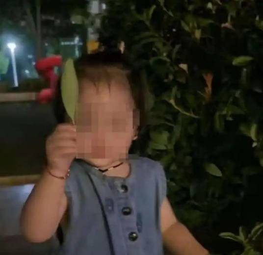 8·23常熟女童被害案