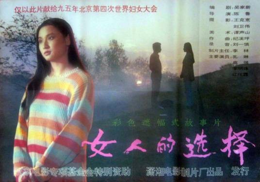 女人的选择（1994年陈鲁执导的电影）