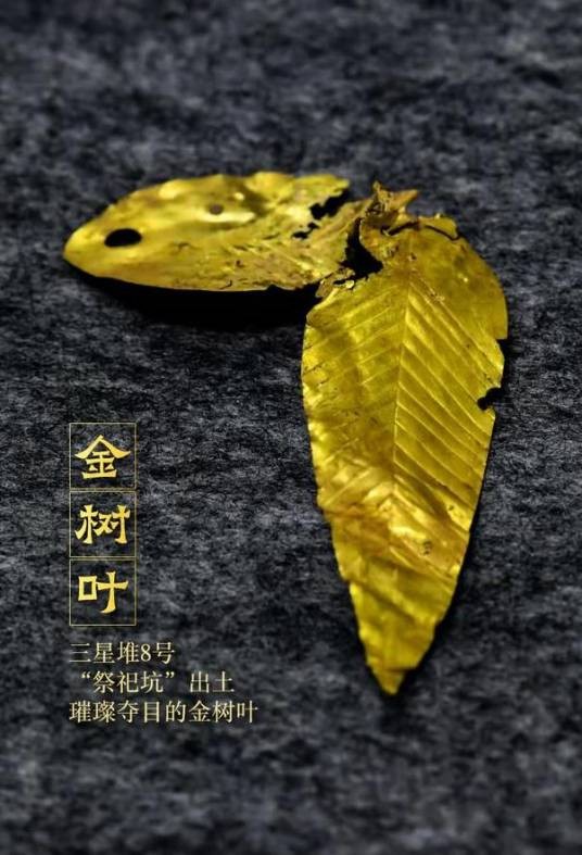 金树叶