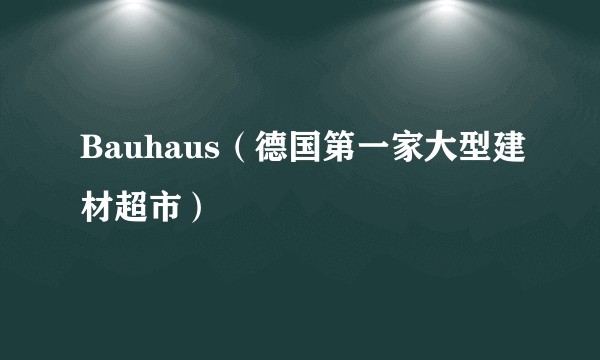 Bauhaus（德国第一家大型建材超市）