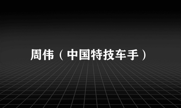 周伟（中国特技车手）