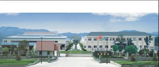 广东永高塑业发展有限公司
