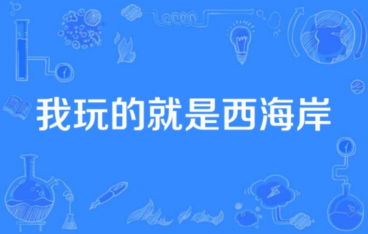 我玩的就是西海岸