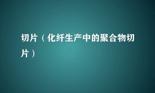 切片（化纤生产中的聚合物切片）