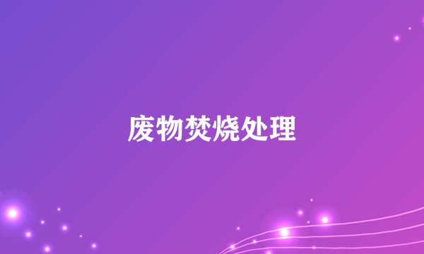 废物焚烧处理