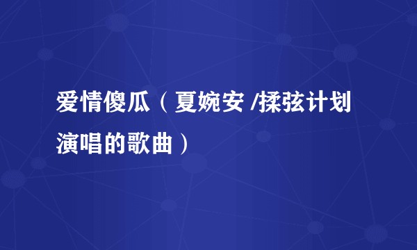 爱情傻瓜（夏婉安 /揉弦计划演唱的歌曲）
