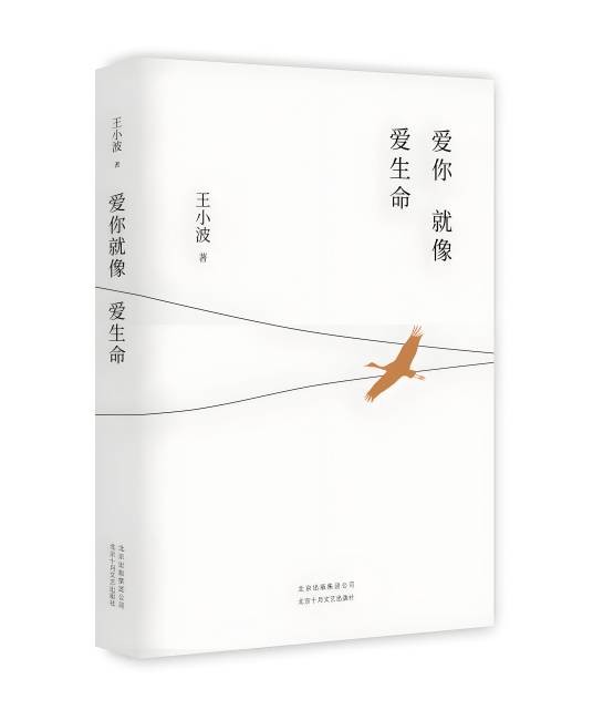 爱你就像爱生命（王小波、李银河合著的书信集）