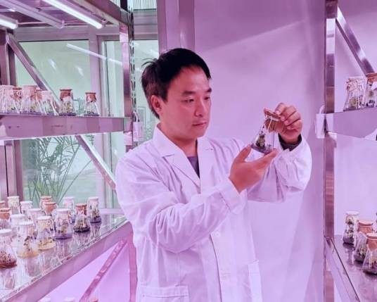 刘少丹（洛阳航天牡丹园办公室主任）