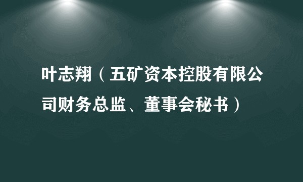 叶志翔（五矿资本控股有限公司财务总监、董事会秘书）