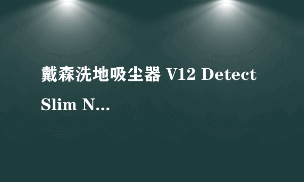 戴森洗地吸尘器 V12 Detect Slim Nautik