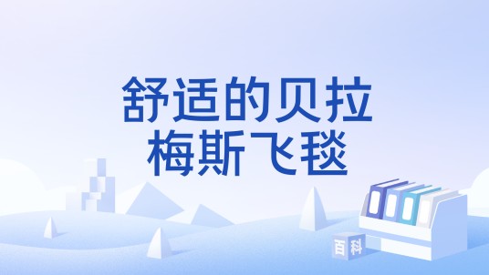 舒适的贝拉梅斯飞毯
