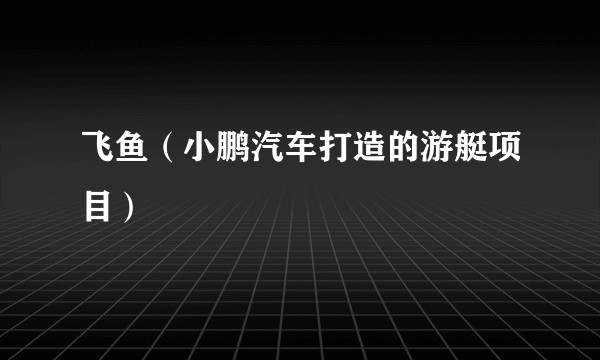 飞鱼（小鹏汽车打造的游艇项目）
