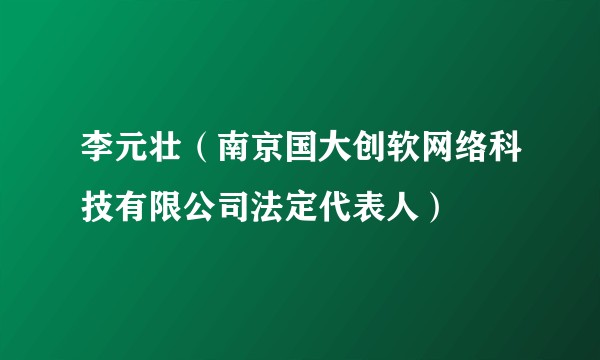 李元壮（南京国大创软网络科技有限公司法定代表人）