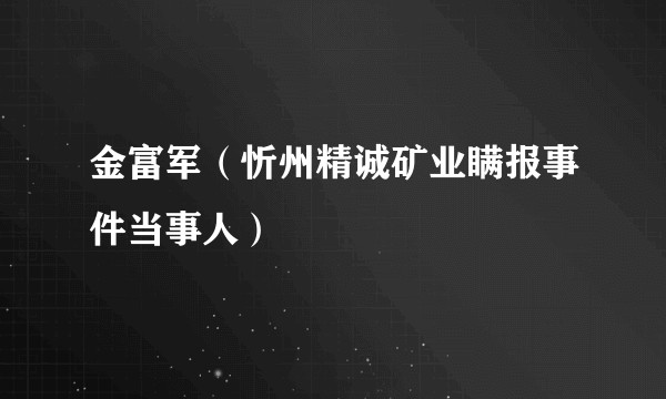 金富军(忻州精诚矿业瞒报事件当事人)