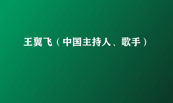 王翼飞（中国主持人、歌手）