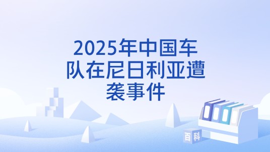 2025年中国车队在尼日利亚遭袭事件