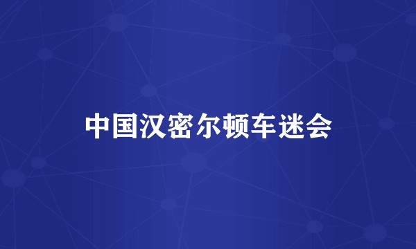 中国汉密尔顿车迷会