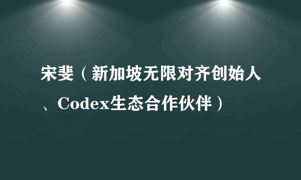 宋斐（新加坡无限对齐创始人、Codex生态合作伙伴）