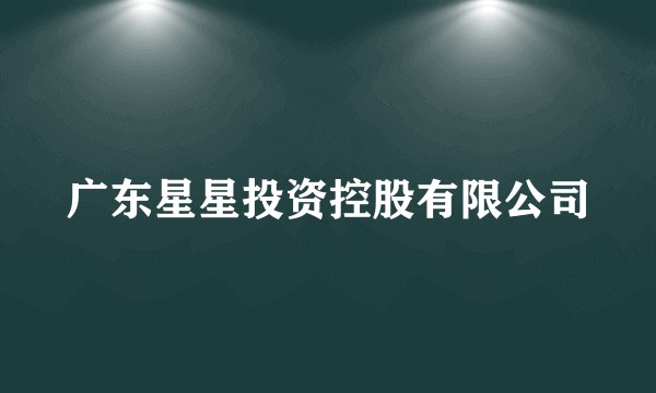 广东星星投资控股有限公司
