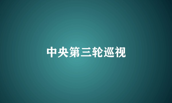 中央第三轮巡视