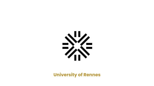 雷恩大学
