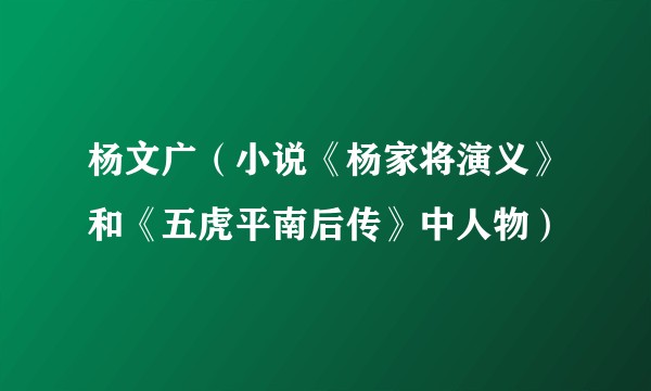 杨文广（小说《杨家将演义》和《五虎平南后传》中人物）