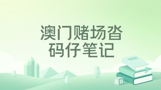 澳门赌场沓码仔笔记