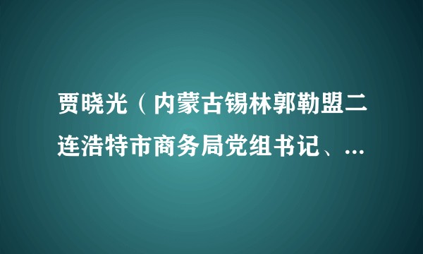 贾晓光(内蒙古锡林郭勒盟二连浩特市商务局党组书记、局长、口岸办主任)