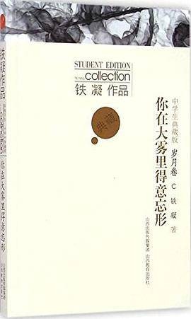 你在大雾里得意忘形（2014年山西教育出版社出版的图书）